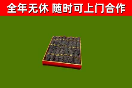 宜春市回收海参